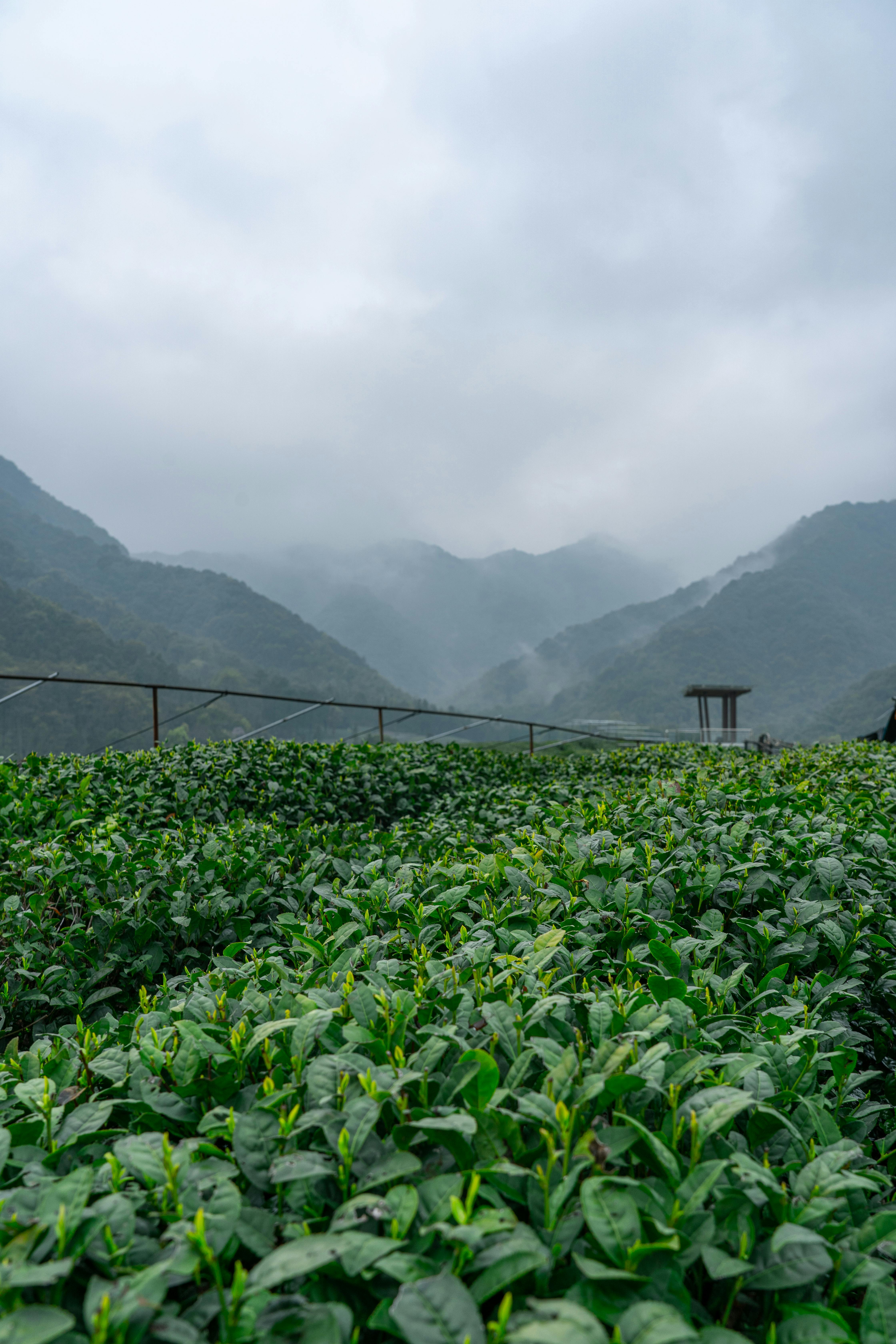 South China: Biking & Hiking the Li River 2027 photo 2