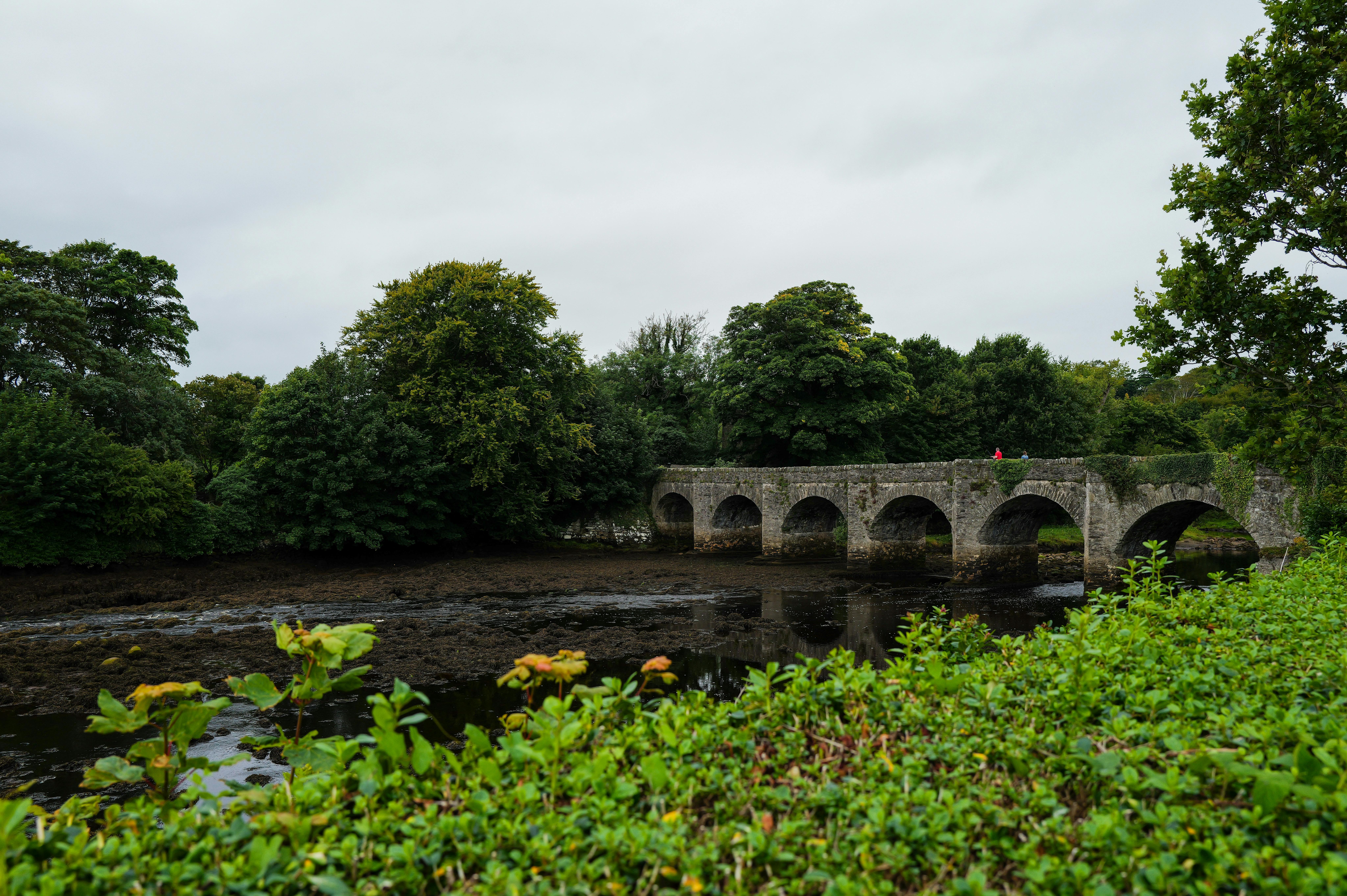 Ireland: Royal Canal Strokestown to Dublin 2027 photo 1