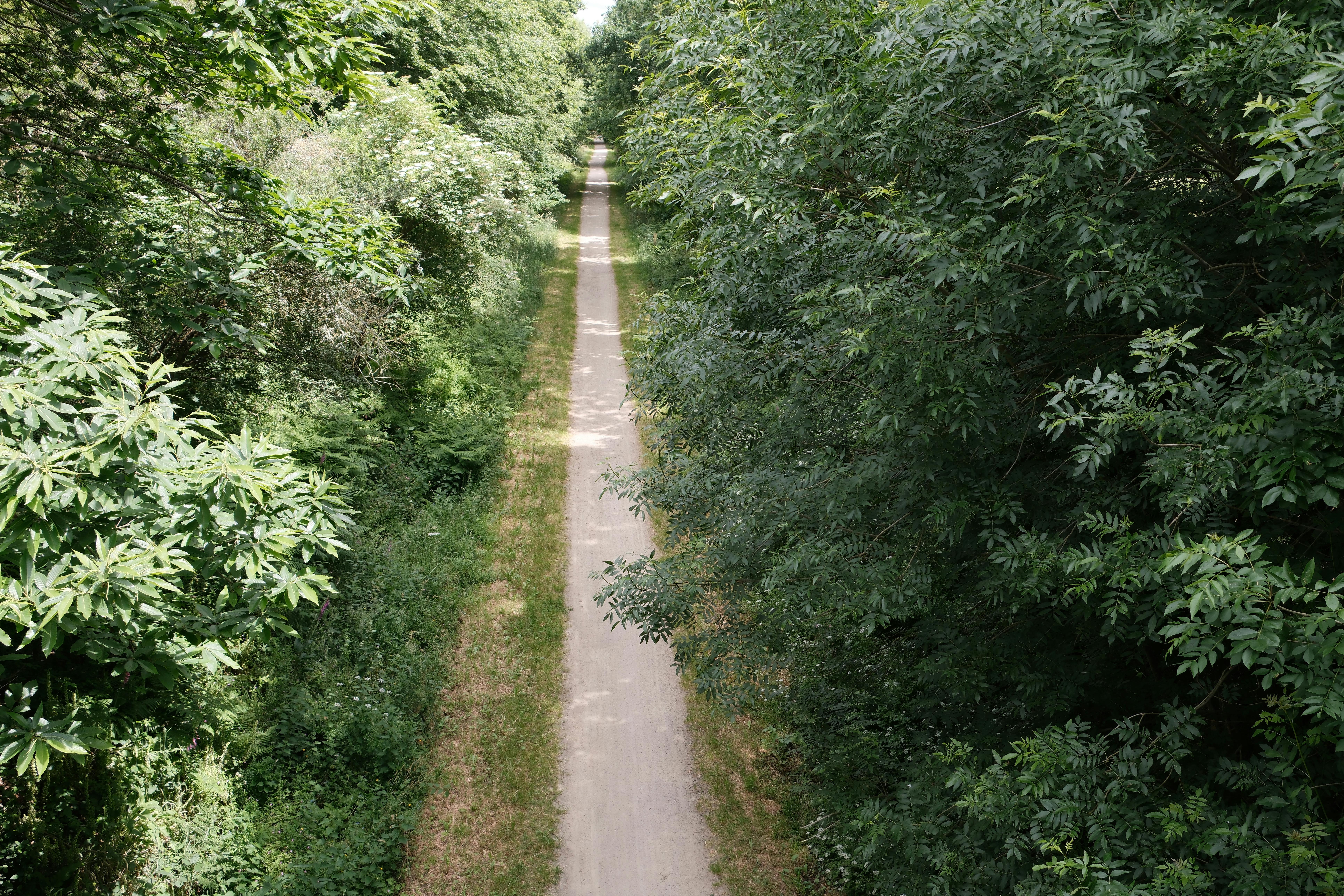 Ireland: Royal Canal Strokestown to Dublin 2027 photo 2